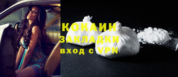 шишки Абаза