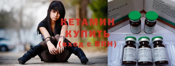 шишки Абаза