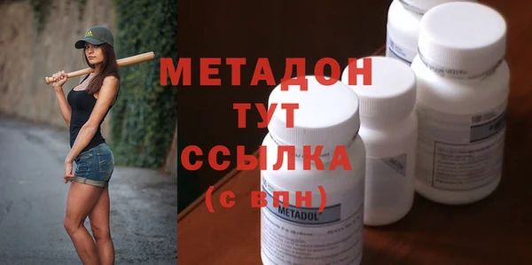 шишки Абаза