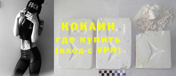 шишки Абаза