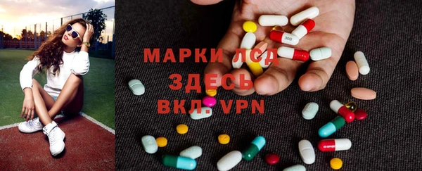 шишки Абаза