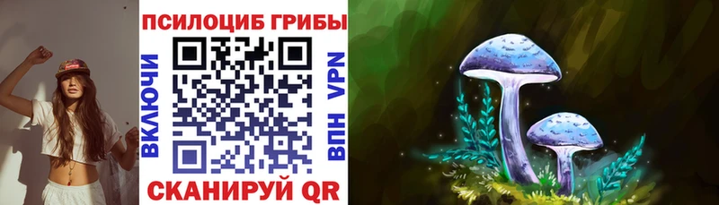 KRAKEN ссылки это формула Псилоцибиновые грибы Psilocybine cubensis Власиха